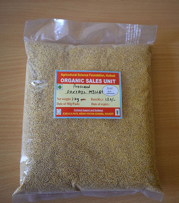 Processed Foxtail Millet